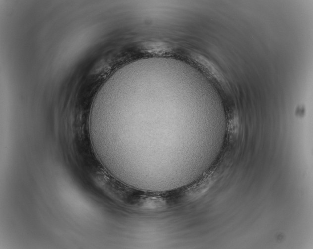 X0000097600572200803141919