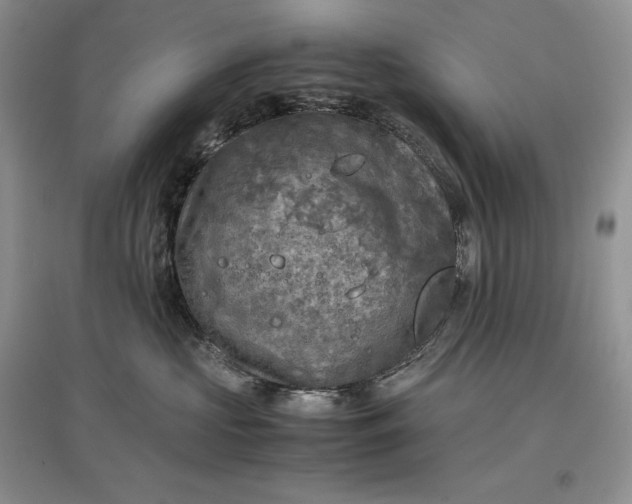 X0000097600573200803141919