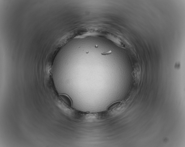 X0000097600574200803141919