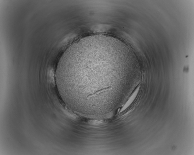 X0000097600575200803141919