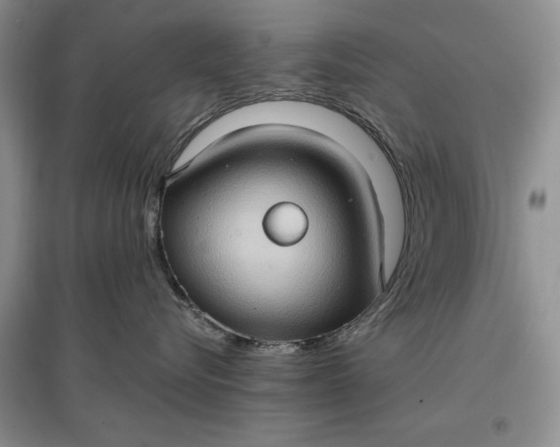 X0000097600576200803141919