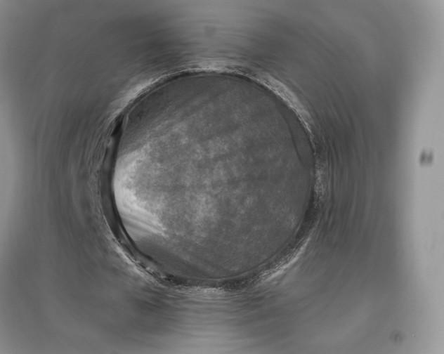 X0000097600577200803141919