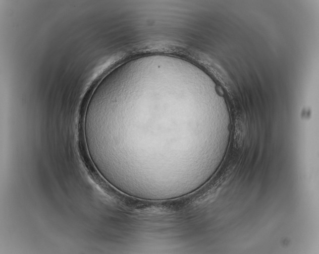 X0000097600578200803141919