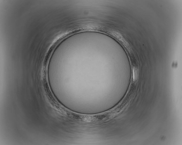 X0000097600579200803141919