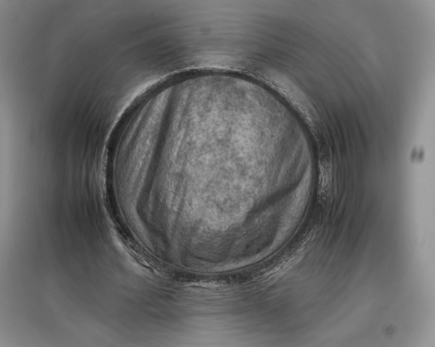 X0000097600580200803141919
