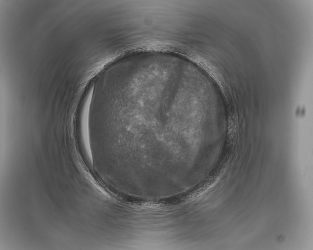 X0000097600581200803141919