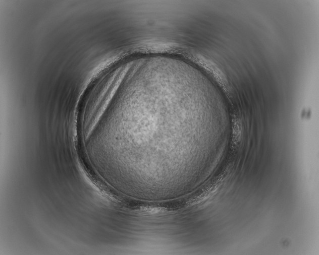 X0000097600582200803141919