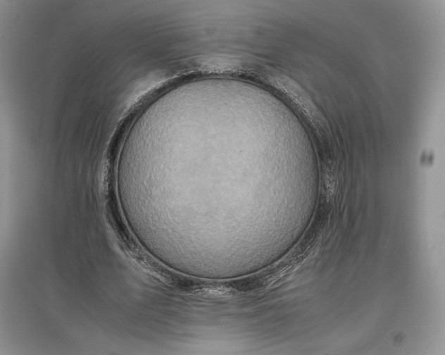 X0000097600583200803141919