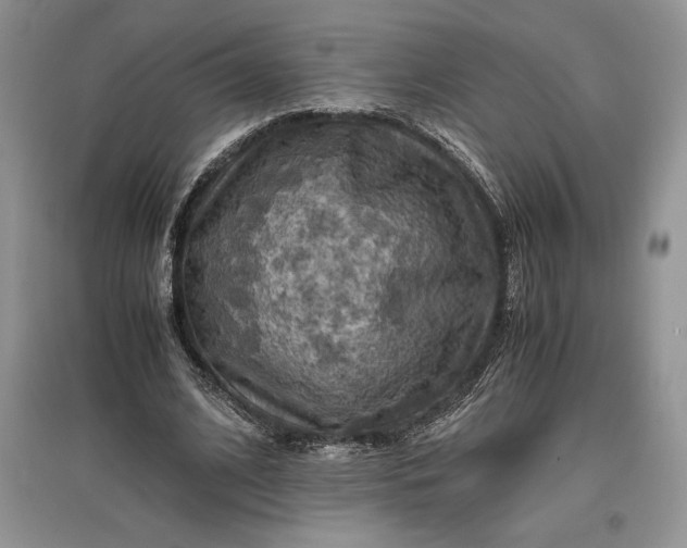 X0000097600584200803141918