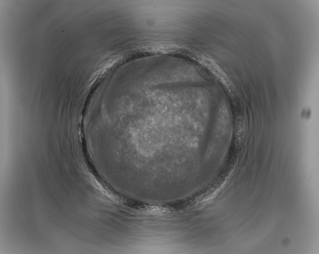X0000097600585200803141918