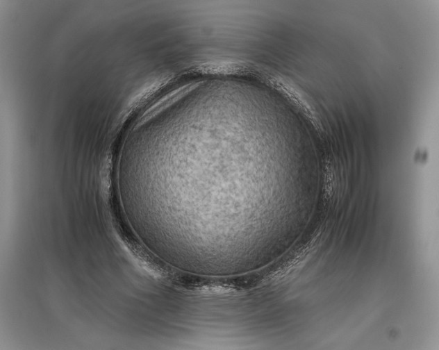 X0000097600586200803141918