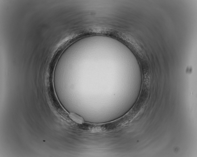 X0000097600587200803141918