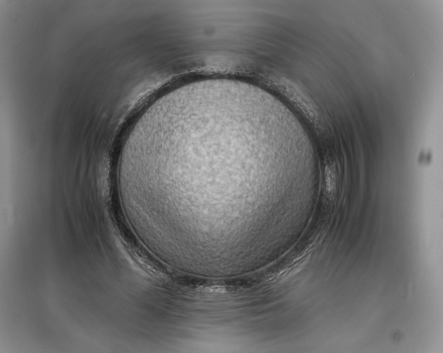 X0000097600588200803141918