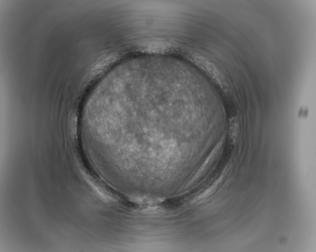 X0000097600589200803141918