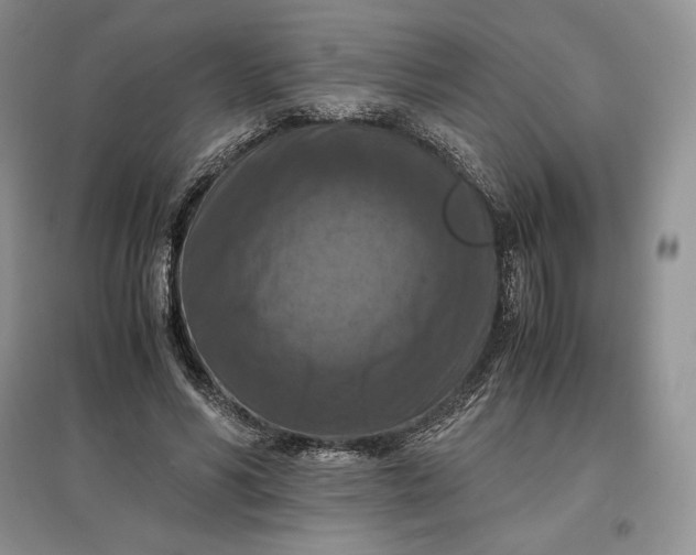 X0000097600590200803141918