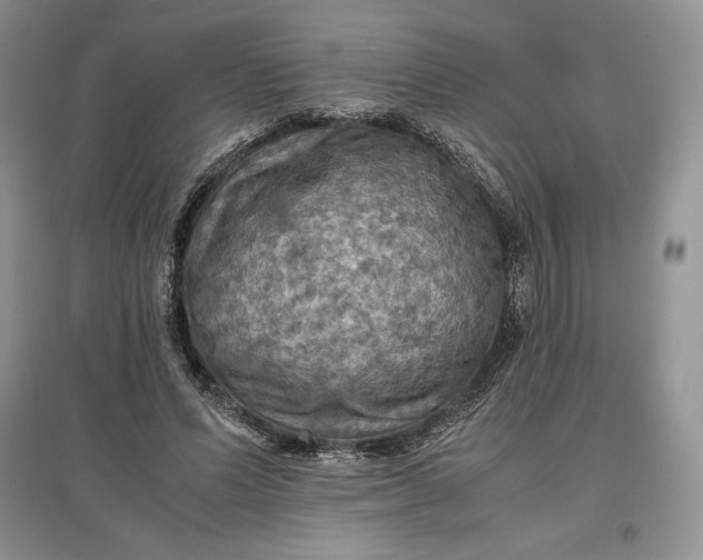 X0000097600591200803141918