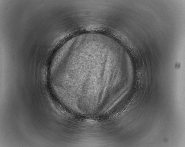 X0000097600592200803141918