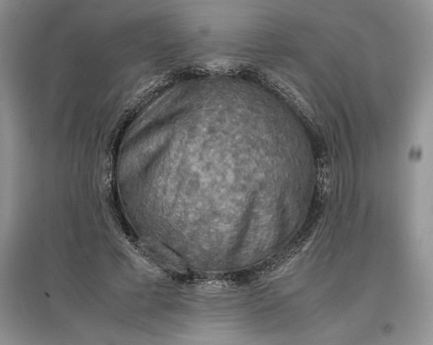 X0000097600593200803141918