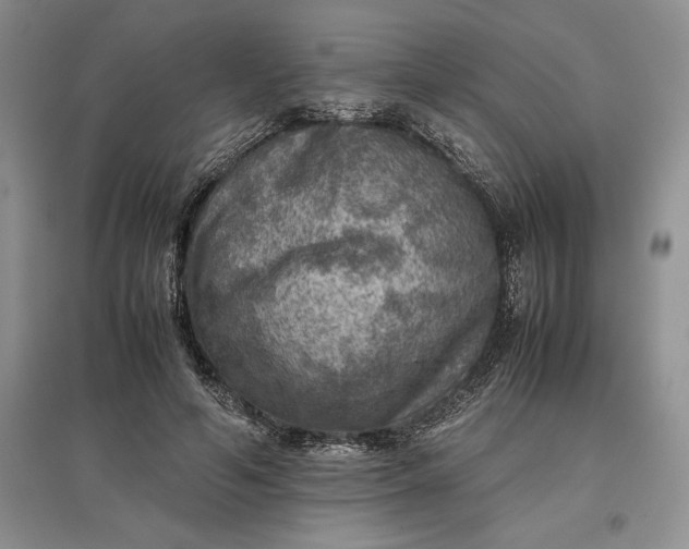 X0000097600594200803141918