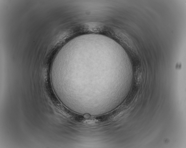 X0000097600595200803141918