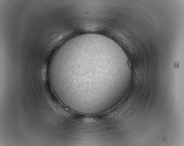 X0000097600596200803141918