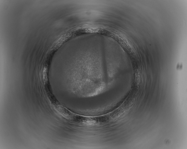 X0000097600598200803141918