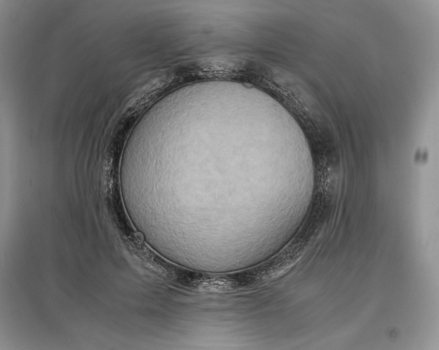 X0000097600599200803141918