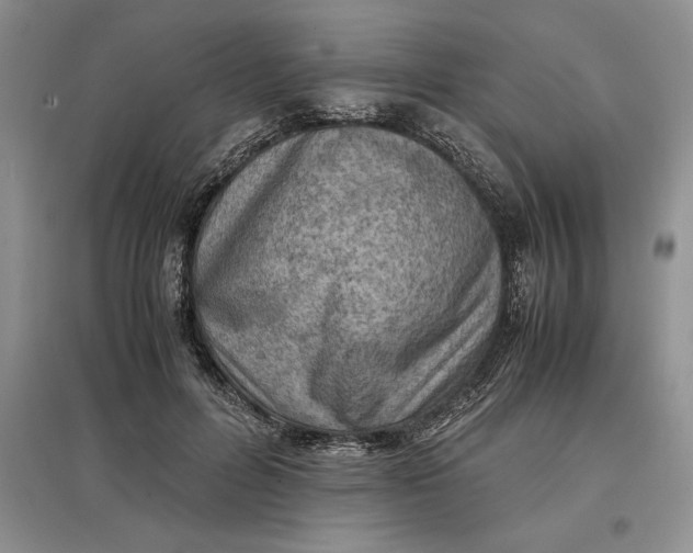 X0000097600600200803141918