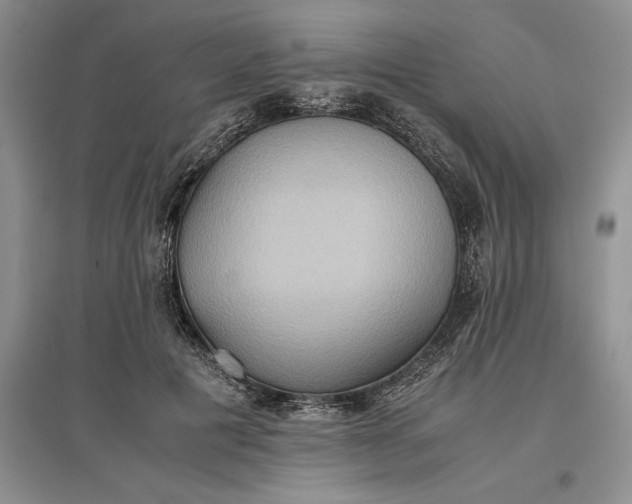 X0000097600601200803141918