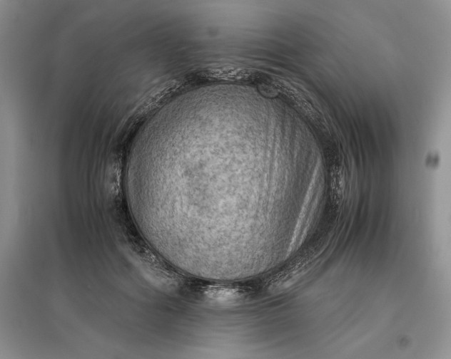 X0000097600602200803141918