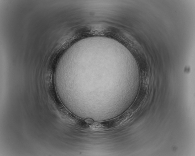 X0000097600603200803141918