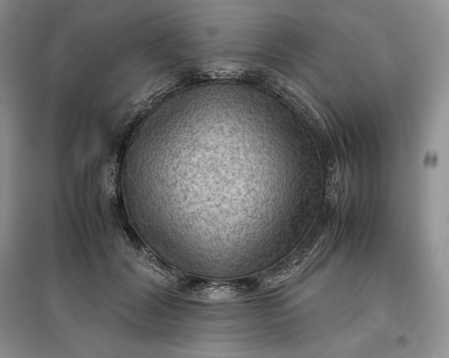 X0000097600604200803141918