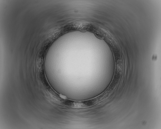 X0000097600605200803141918