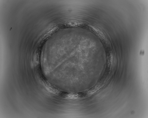 X0000097600606200803141918