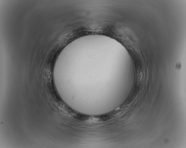X0000097600609200803141918
