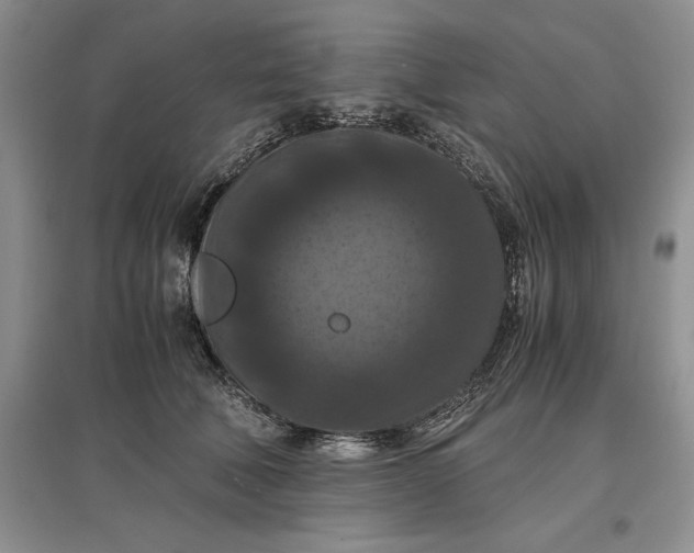 X0000097600610200803141918