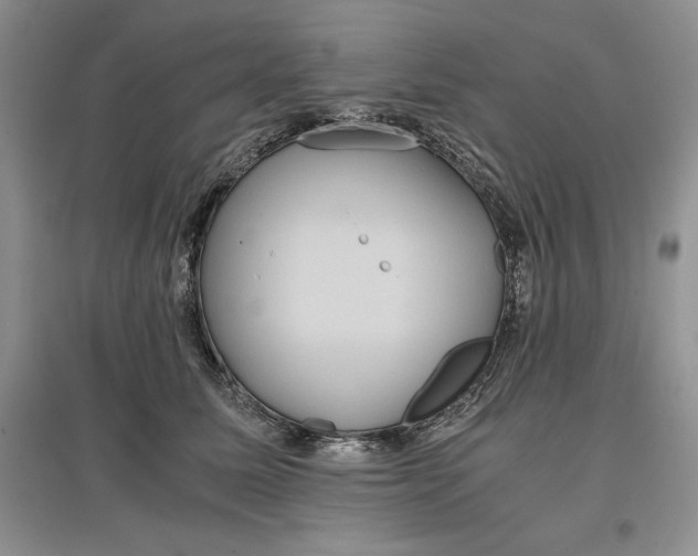X0000097600611200803141918