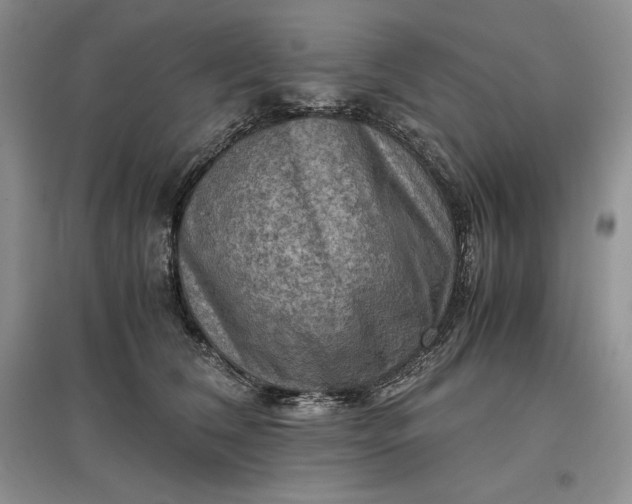 X0000097600612200803141918