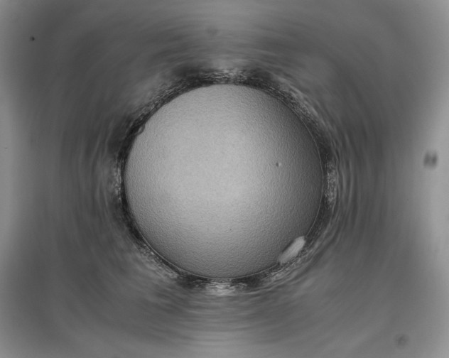 X0000097600613200803141918