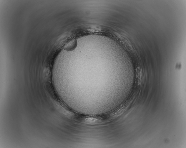 X0000097600614200803141918