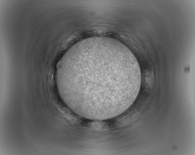 X0000097600615200803141918