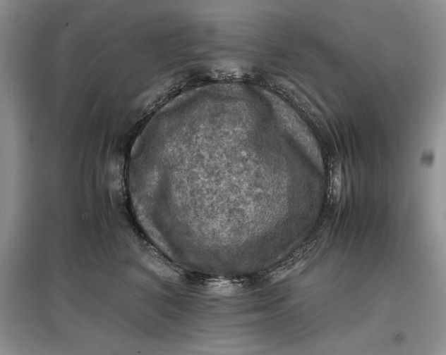 X0000097600616200803141918