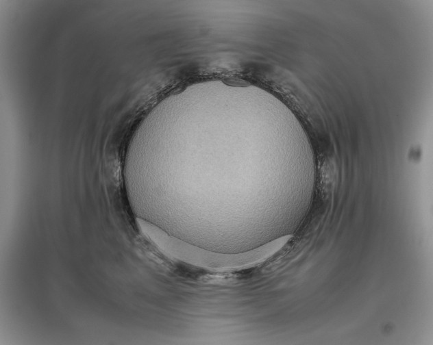 X0000097600617200803141918