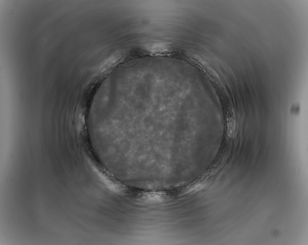 X0000097600618200803141918