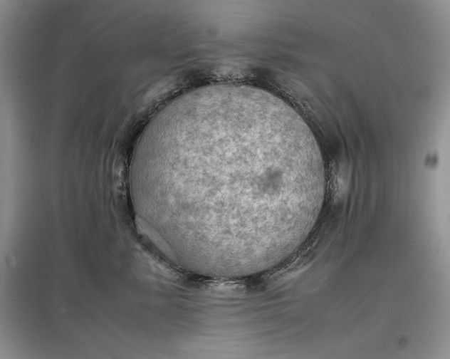 X0000097600619200803141918