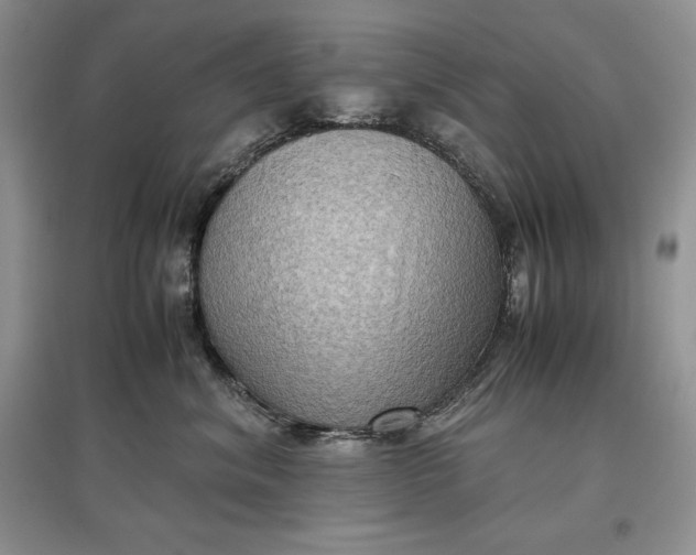 X0000097600620200803141918