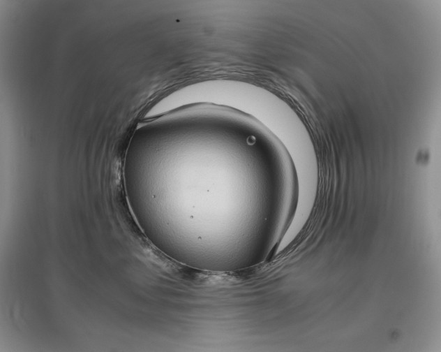 X0000097600621200803141918