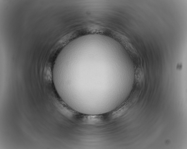 X0000097600622200803141918