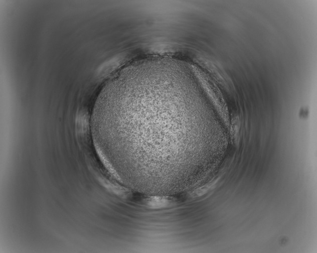 X0000097600623200803141918