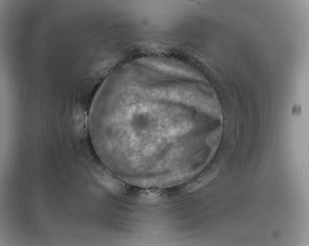 X0000097600624200803141918